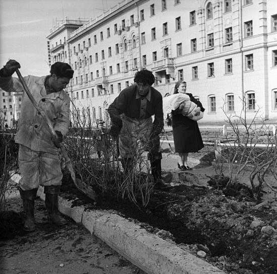 Landscaping