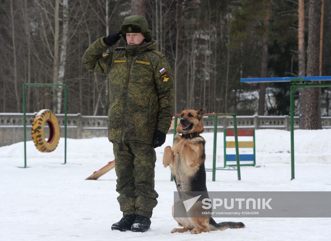 Military cynologists' training sessions