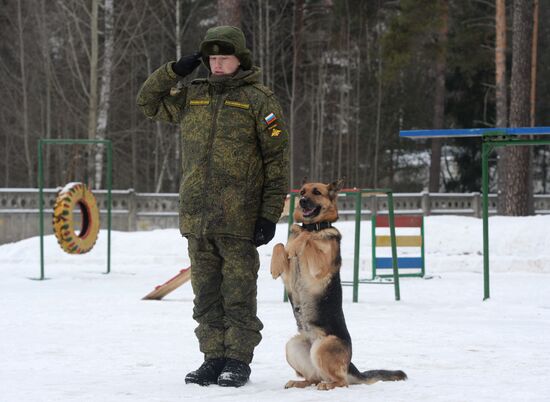 Military cynologists' training sessions