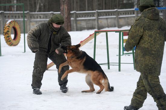 Military cynologists' training sessions
