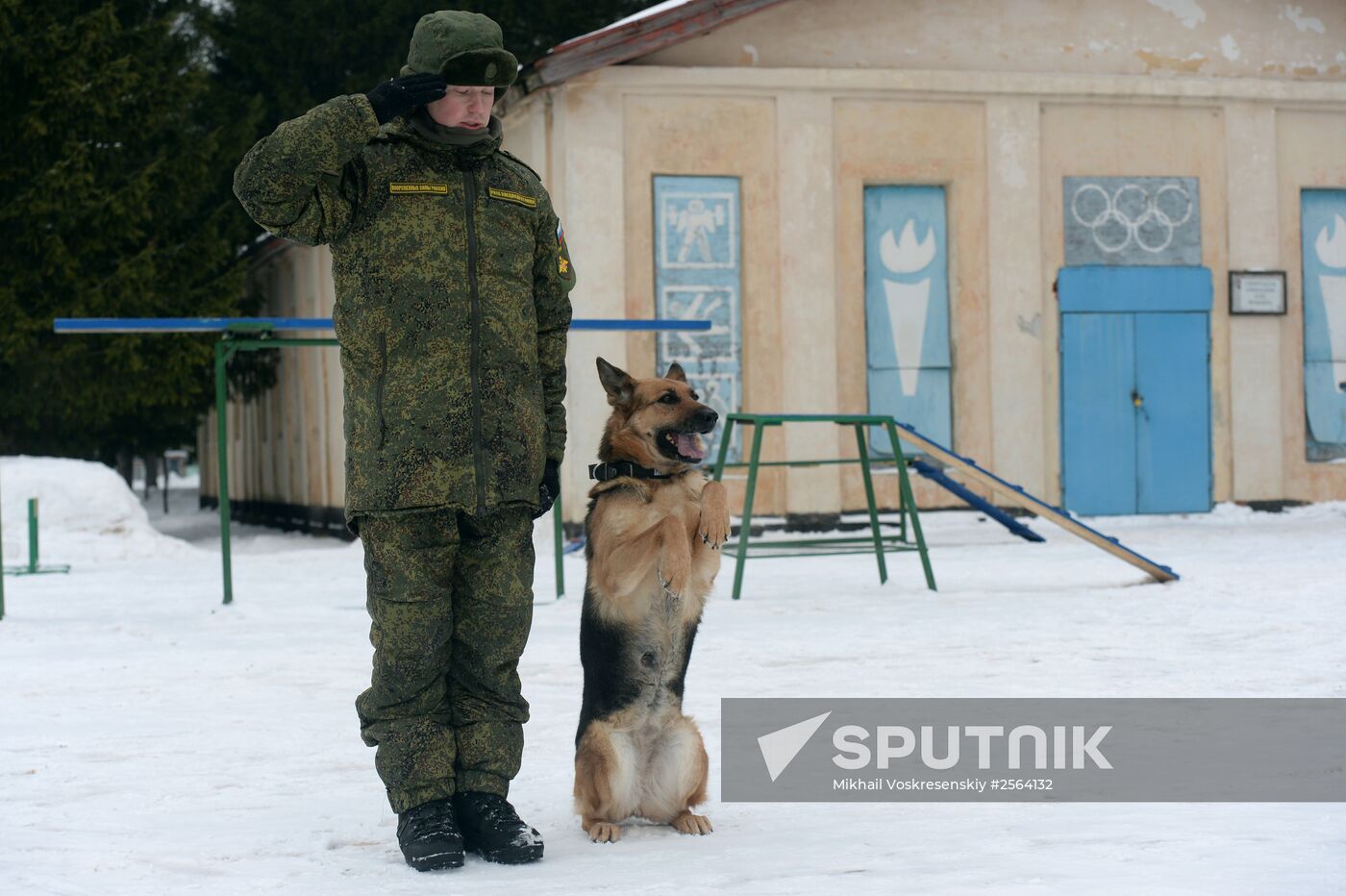 Military cynologists' training sessions