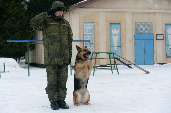 Military cynologists' training sessions
