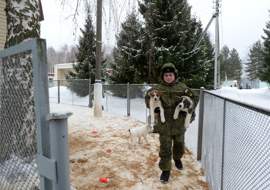 Military cynologists training