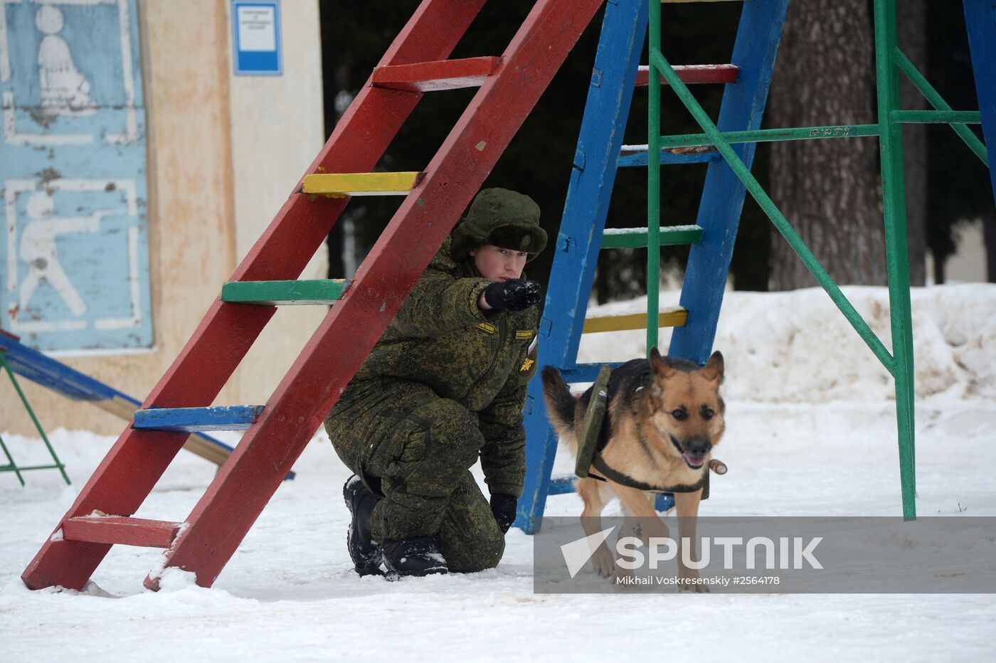 Military cynologists' training sessions