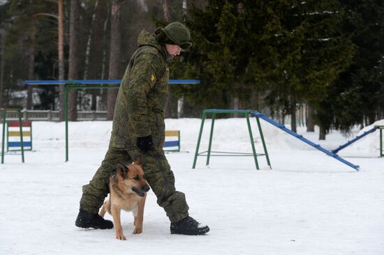 Military cynologists' training sessions