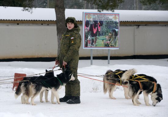Military cynologists' training session