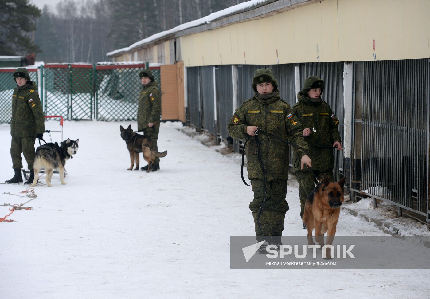Military cynologists training