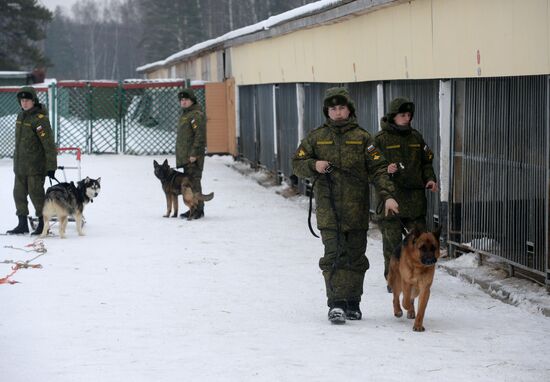 Military cynologists training