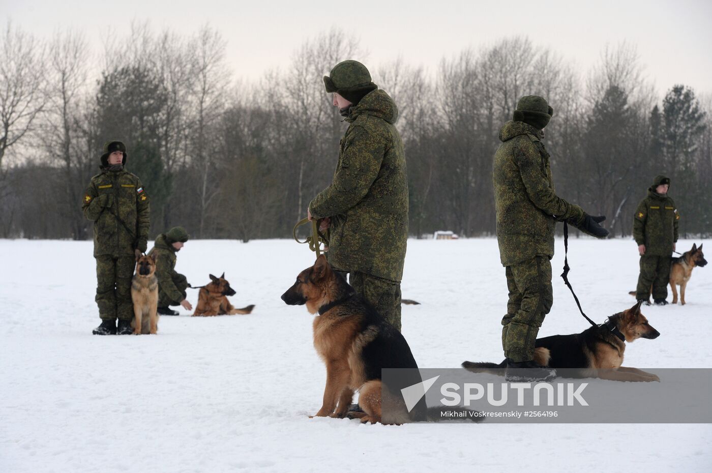 Military cynologists' training session