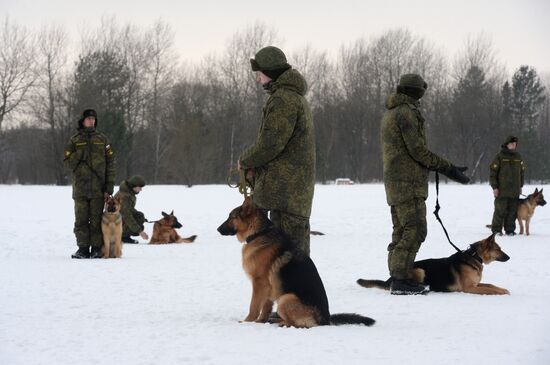Military cynologists' training session