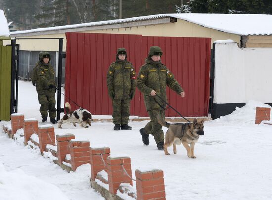 Military cynologists training