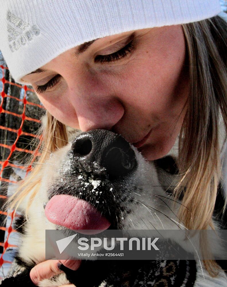 Open winter mushing championship in Vladivostok