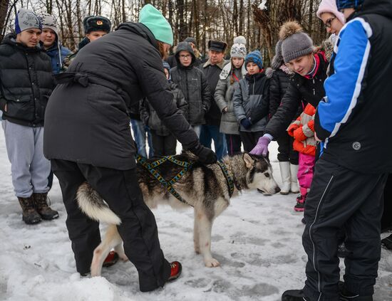 "All the Way with Husky, Hey" rehabilitation program for people with impaired health