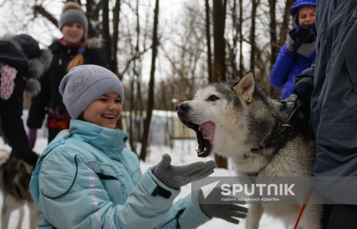 "All the Way with Husky, Hey" rehabilitation program for people with impaired health