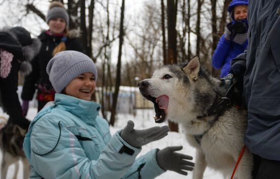 "All the Way with Husky, Hey" rehabilitation program for people with impaired health