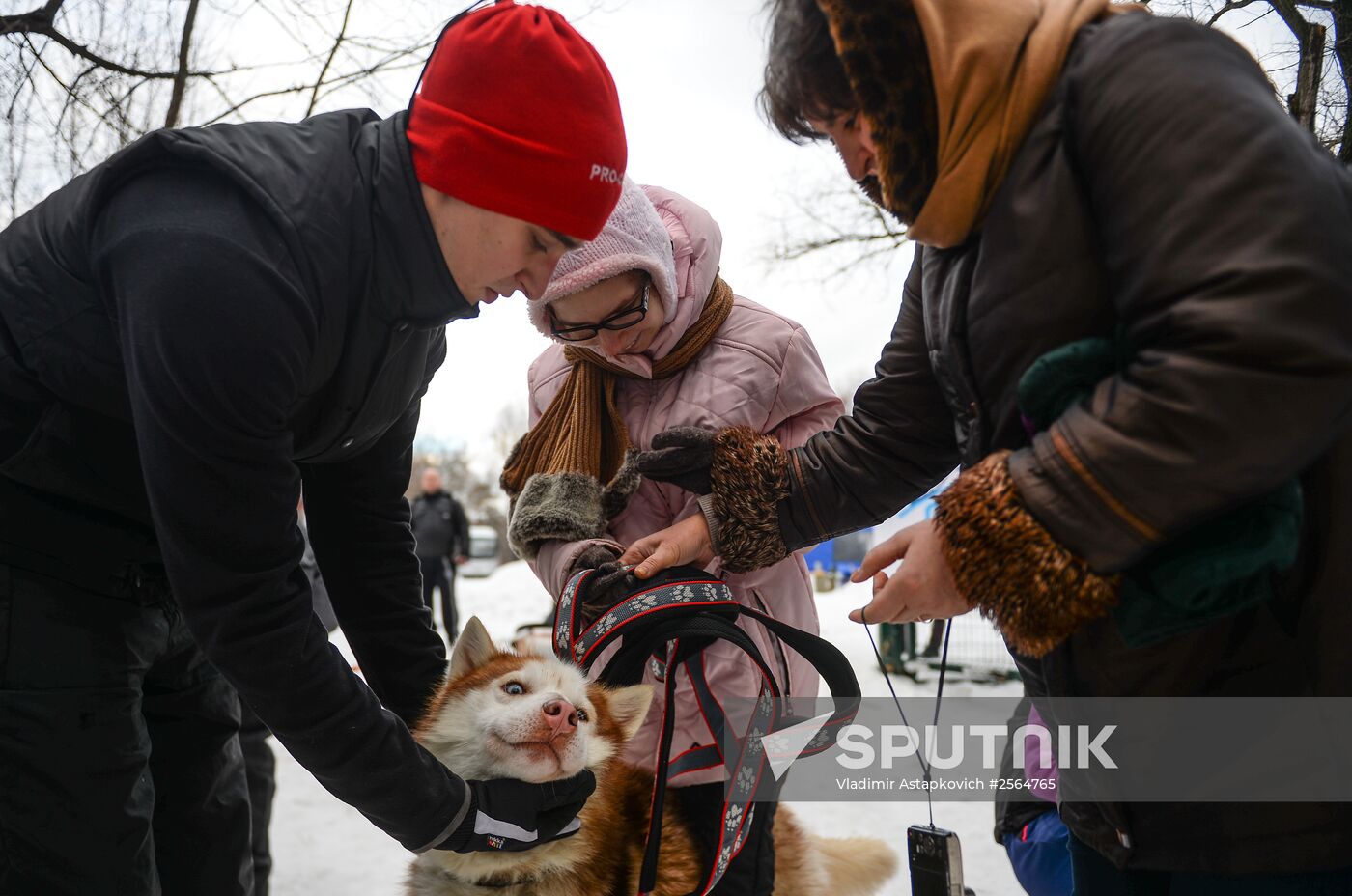 "All the Way with Husky, Hey" rehabilitation program for people with impaired health