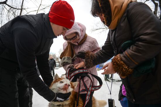 "All the Way with Husky, Hey" rehabilitation program for people with impaired health