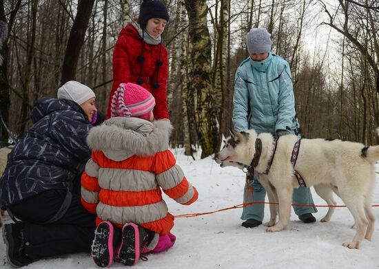 "All the Way with Husky, Hey" rehabilitation program for people with impaired health