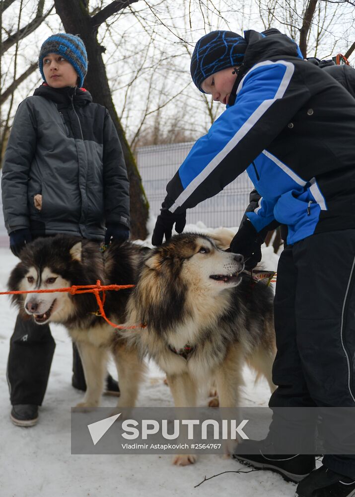 "All the Way with Husky, Hey" rehabilitation program for people with impaired health