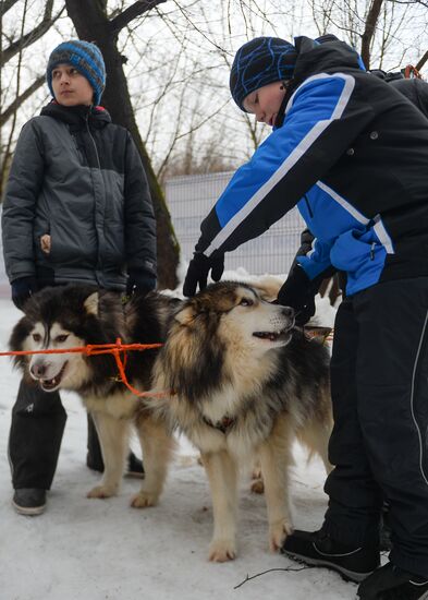 "All the Way with Husky, Hey" rehabilitation program for people with impaired health