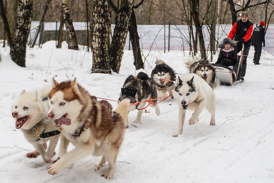 "All the Way with Husky, Hey" rehabilitation program for people with impaired health