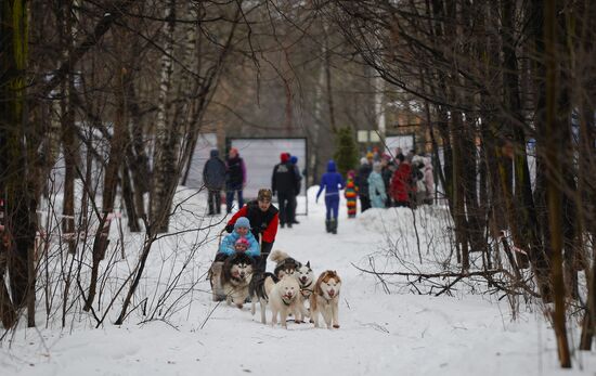 "All the Way with Husky, Hey" rehabilitation program for people with impaired health