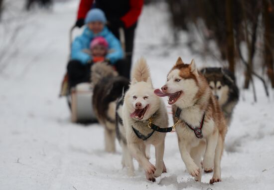 "All the Way with Husky, Hey" rehabilitation program for people with impaired health