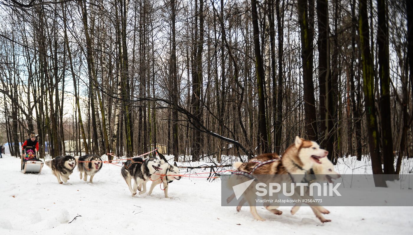 "All the Way with Husky, Hey" rehabilitation program for people with impaired health