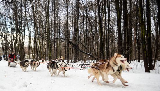 "All the Way with Husky, Hey" rehabilitation program for people with impaired health