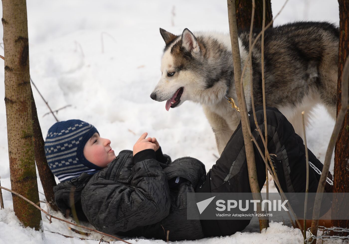 "All the Way with Husky, Hey" rehabilitation program for people with impaired health