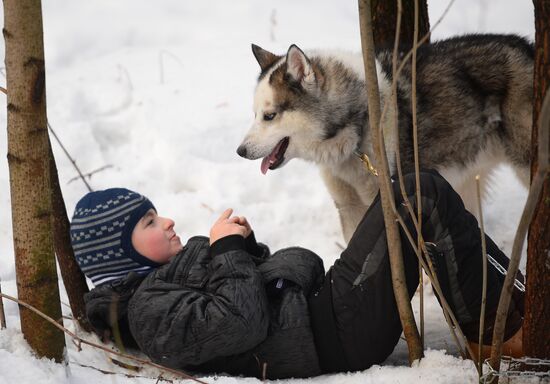 "All the Way with Husky, Hey" rehabilitation program for people with impaired health
