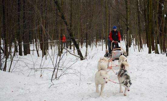 "All the Way with Husky, Hey" rehabilitation program for people with impaired health