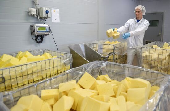 Viola processed cheese production in Moscow Region