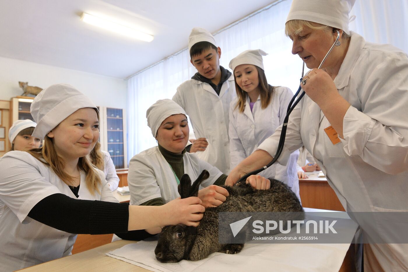 Urals State Veterinary Medical Academy