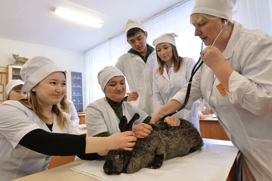 Urals State Veterinary Medical Academy