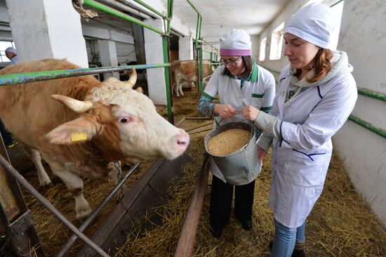 Urals State Veterinary Medical Academy