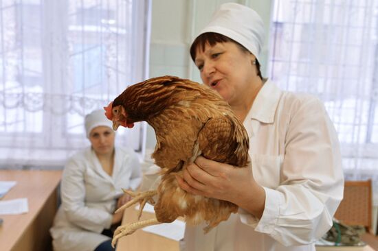 Urals State Veterinary Medical Academy