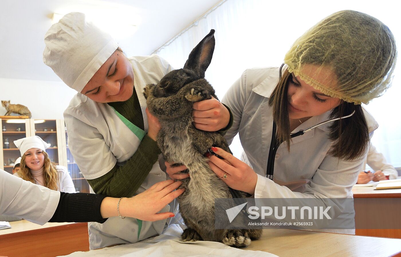 Urals State Veterinary Medical Academy