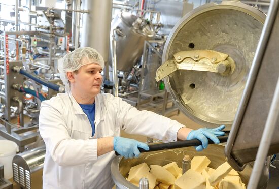 Viola processed cheese production in Moscow Region