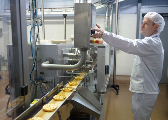 Viola processed cheese production in Moscow Region