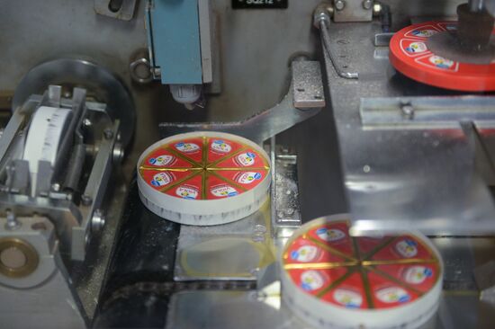 Viola processed cheese production in Moscow Region