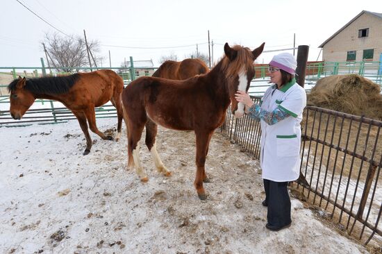 Urals State Veterinary Medical Academy