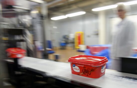 Viola processed cheese production in Moscow Region