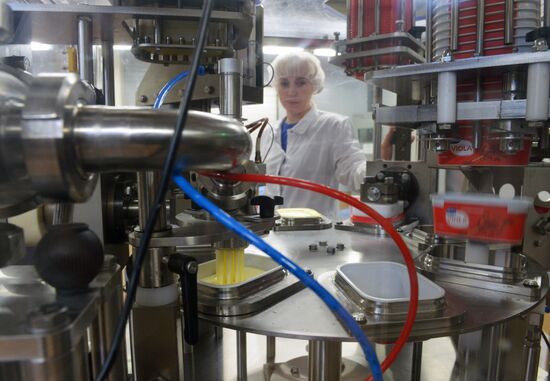 Viola processed cheese production in Moscow Region