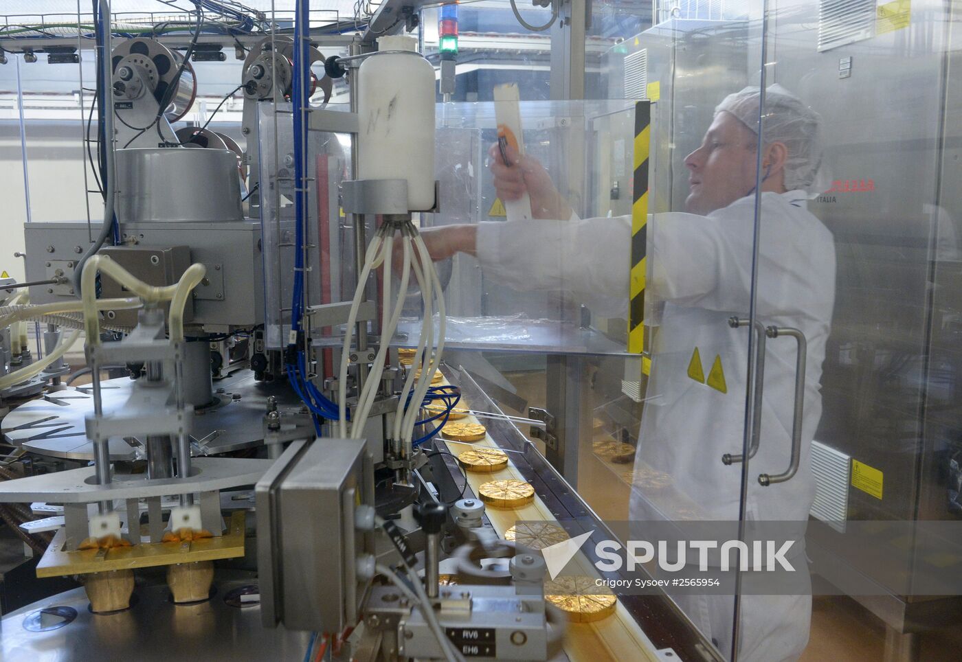Viola processed cheese production in Moscow Region