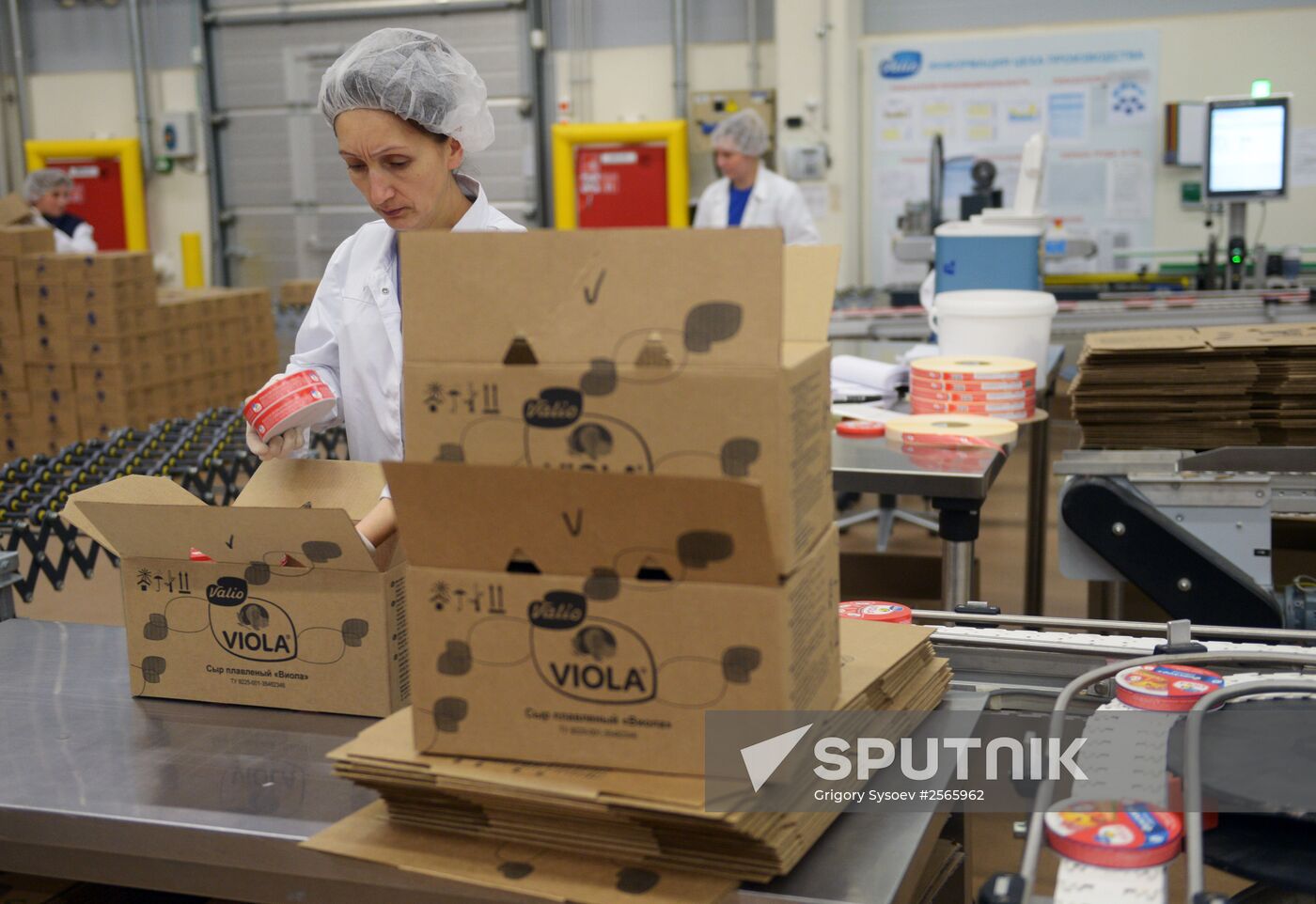 Viola processed cheese production in Moscow Region