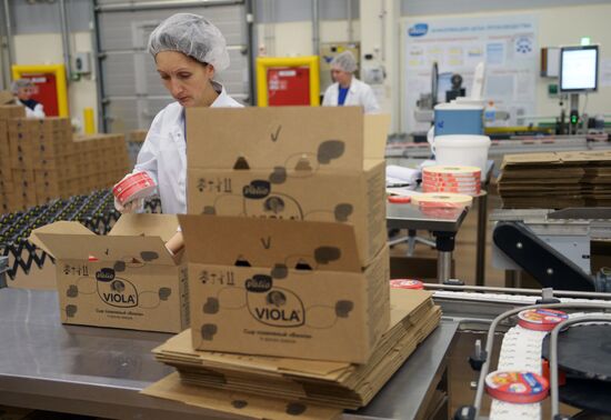 Viola processed cheese production in Moscow Region