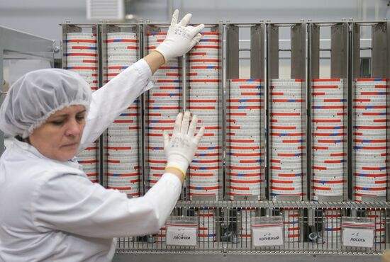 Viola processed cheese production in Moscow Region