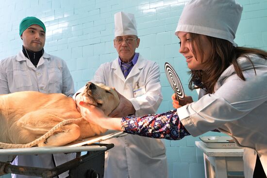 Urals State Veterinary Medical Academy
