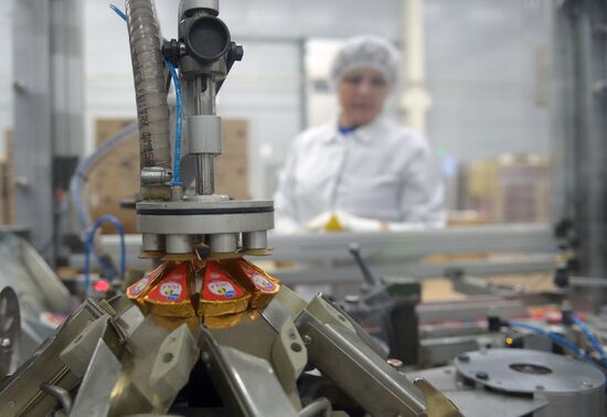 Viola processed cheese production in Moscow Region